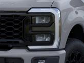 Thumbnail of 2026 Dr Ford F-250