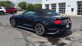 Thumbnail of 2023 Black Ford Mustang