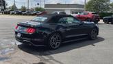 Thumbnail of 2023 Black Ford Mustang