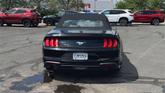 Thumbnail of 2023 Black Ford Mustang