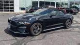 Thumbnail of 2023 Black Ford Mustang