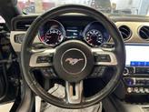 Thumbnail of 2023 Black Ford Mustang