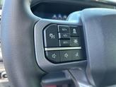 Thumbnail of 2025 Gray Ford F-250