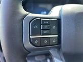 Thumbnail of 2025 Gray Ford F-250