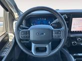 Thumbnail of 2025 Avalanche Ford F-350