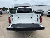 Thumbnail of 2025 Brown Ford F-150