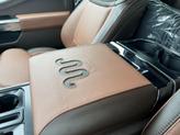 Thumbnail of 2025 Brown Ford F-150