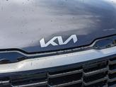 Thumbnail of 2026 Panthera Metal Kia Sportage