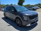 Thumbnail of 2025 Panthera Metal Kia Carnival