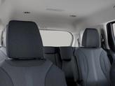 Thumbnail of 2026 Panthera Metal Kia Carnival