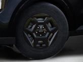 Thumbnail of 2026 Panthera Metal Kia Carnival