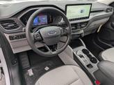 Thumbnail of 2026 Oxford White Ford Escape