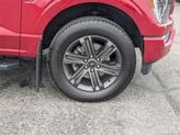 Thumbnail of 2023 Rapid Red Metallic Tinted Clearcoat Ford F-150