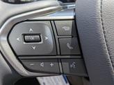 Thumbnail of 2025 Caviar Lexus RX 350