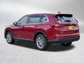 Thumbnail of 2026 Radiant Red Metallic Honda CR-V