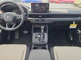 Thumbnail of 2026 Platinum Honda CR-V