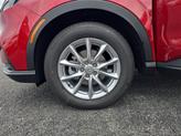 Thumbnail of 2026 Radiant Red Honda CR-V