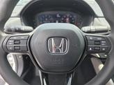 Thumbnail of 2025 Platinum Honda Accord