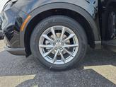 Thumbnail of 2026 Black Honda CR-V