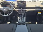Thumbnail of 2026 Platinum Honda CR-V