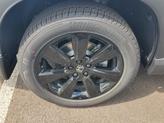 Thumbnail of 2025 Platinum White Pearl Honda Pilot
