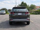 Thumbnail of 2025 Green Hyundai TUCSON