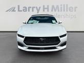 Thumbnail of 2025 White Ford Mustang