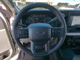Thumbnail of 2025 Gray Ford F-350