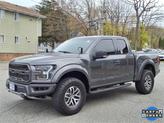 Thumbnail of 2017 MAGNETIC Ford F-150