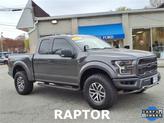 Photo of 2017 MAGNETIC Ford F-150
