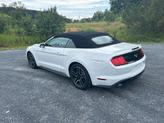Thumbnail of 2023 Oxford White Ford Mustang
