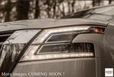 Thumbnail of 2023 Baja Storm Nissan Pathfinder