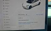 Thumbnail of 2021 Pearl White Multi-Coat Tesla Model 3
