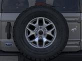 Thumbnail of 2025 Carbonized Gray Metallic Ford Bronco
