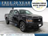 Photo of 2025 Agate Black Metallic Ford F-150