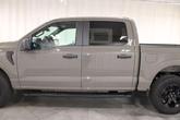 Thumbnail of 2025 Marsh Gray Ford F-150