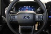 Thumbnail of 2025 Carbonized Gray Metallic Ford F-150