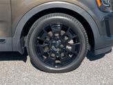 Thumbnail of 2021 Dark Moss Kia Telluride
