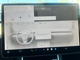 Thumbnail of 2020 White Tesla Model Y
