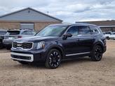 Thumbnail of 2025 Panthera Metal Kia Telluride