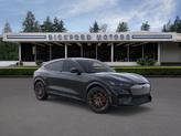 Thumbnail of 2025 Shadow Black Ford Mustang Mach-E