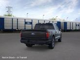 Thumbnail of 2025 Agate Black Metallic Ford F-150