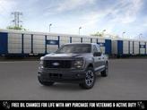 Thumbnail of 2025 Agate Black Metallic Ford F-150