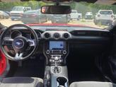 Thumbnail of 2019 Race Red Ford Mustang