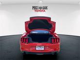 Thumbnail of 2019 Race Red Ford Mustang