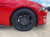 Thumbnail of 2019 Race Red Ford Mustang