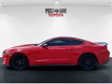 Thumbnail of 2019 Race Red Ford Mustang