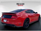 Thumbnail of 2019 Race Red Ford Mustang