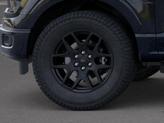 Thumbnail of 2025 Agate Black Metallic Ford F-150