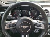 Thumbnail of 2023 Eruption Green Metallic Ford Mustang